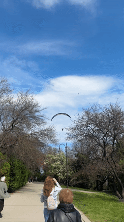 Paraglider soars over Varna, Bulgaria on spring afternoon