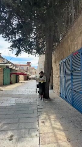 A static, full shot depicts a young woman consulting a map while standing next to a tree in an alleyway. The woman has light brown hair and wears sunglasses, a light green cardigan, a dark green skirt, and white sneakers. She is holding a folded paper map in front of her. The tree is positioned beside a stone wall with blue shutters. The alleyway is paved with stone blocks and features closed shops with awnings along one side. In the distance, buildings with red roofs can be seen under a partly cloudy sky. The lighting is bright, casting shadows on the ground. The scene appears to be a quiet moment of navigation in an older urban environment.