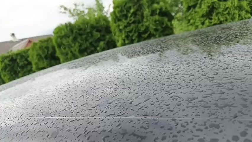 The video shows a close-up, low-angle shot of raindrops on a dark, shiny surface, likely the roof of a car. The raindrops are small and scattered across the surface, creating reflections. In the background, out of focus, are a row of green evergreen trees and a blurred residential building under an overcast sky. The focus is on the texture and patterns created by the raindrops.