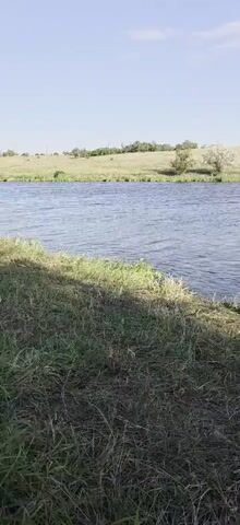 The video shows a calm lake with a grassy bank. On the bank, there are fishing rods set up on a stand. A fishing net is also visible on the ground near the rods. The sky is clear and blue with some clouds. The overall scene suggests a peaceful day of fishing.