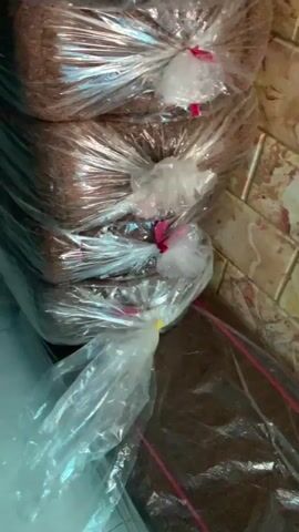 The video shows a close-up, shaky view of stacked objects, wrapped in clear plastic. The objects appear to be roughly rectangular in shape and are piled high, forming walls or shelves of merchandise. The plastic wrapping is crinkled and reflects the ambient light, obscuring the exact nature of the contents, though they seem to be somewhat dense. There is a sense of being in a storage area or warehouse. The camera movement is unsteady, suggesting it might be handheld. The lighting is dim and appears to be artificial. There are no people visible in the video.