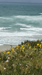 Morning coastal views captured from Netanya cliffs overlooking Mediterranean