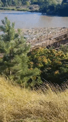 Cycling past a collapsed bridge and into Ust-Labinsk's pine forests