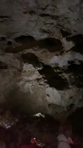 The camera angle is low, pointing up to the ceiling of a cave. The cavern ceiling is made of jagged, layered rock in shades of tan and brown. Several dark pockets or holes are seen in the ceiling. In the lower portion of the shot, the backs of several people are visible. The people appear to be holding glowing orange lights. An individual speaks, explaining that the cavern is called a concert hall for a specific reason.