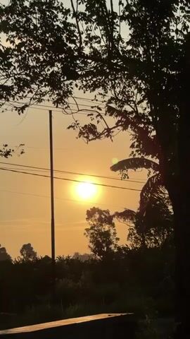 This is a vertical, handheld video of a sunset. The sun is a bright, yellow orb in the center-left of the frame, partially obscured by a tall, dark pole and power lines. Silhouetted trees and foliage fill the foreground and background. A dark, rectangular object, possibly a bench or ledge, is in the bottom foreground. The sky is a pale orange and yellow.