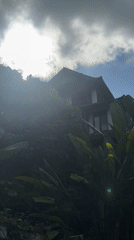 Morning street activity captured in tree-lined Ubud District