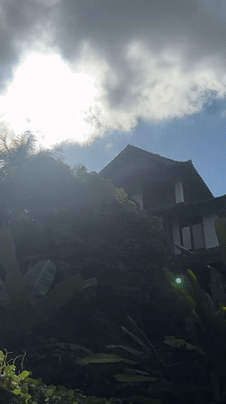 Morning street activity captured in tree-lined Ubud District