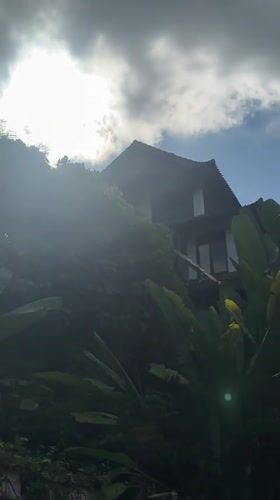 Morning street activity captured in tree-lined Ubud District