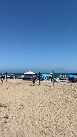 The video shows a sunny day at a crowded beach. The sand is light brown and scattered with some dried seaweed. In the foreground, there are two people sitting and looking at a phone. Palm trees are visible to the left, and a curved concrete wall separates the beach from a walkway. Further back, people are spread out on the sand, some under blue and white tents and umbrellas. A volleyball net is set up, and a few people are playing or walking around it. In the background, there are houses and buildings situated on a hill overlooking the beach and the ocean. The sky is clear and blue.