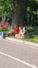 Park afternoon: dancing, live music, and pond wildlife