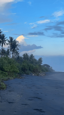 Tranquil beach scene recorded in Selemadeg Barat, Indonesia