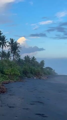 The video shows a tranquil beach scene under a blue sky scattered with clouds. In the foreground, the dark-colored sand stretches towards the ocean. The shore is lined with vegetation, including palm trees and other greenery. The ocean water meets the sand in gentle waves. The overall atmosphere is serene and peaceful.