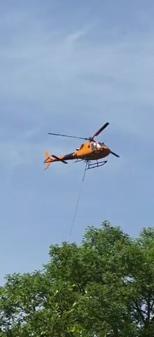 A bright orange helicopter with black accents hovers in a bright blue sky above the canopy of lush green trees. A long, thin cable hangs from the helicopter, extending downwards towards the trees. The helicopter appears to be in motion, with its rotors blurred from movement. The scene suggests a task involving lifting or maneuvering something with the helicopter and cable, possibly related to tree maintenance or construction.