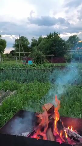 A fire burns in a metal barbecue grill outdoors. The grill is full of wood logs that are ablaze with orange and red flames. Smoke billows up from the fire and drifts to the left. The grill is set in a grassy area with a garden in the background. The sky is cloudy and overcast.