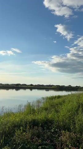 A vertical video captures a tranquil scene of a wide, still body of water reflecting a clear blue sky with scattered white clouds. The sun is beginning to rise or set, casting a warm glow and creating a slight lens flare on the right side of the screen. The foreground is dominated by lush green grass and some small purple flowers growing along the bank of the water. In the distance, across the water, a faint line of trees and low-lying structures, possibly houses or buildings, is visible, silhouetted against the horizon. The overall impression is one of peaceful natural beauty.
