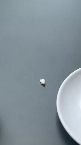 A small, white moth rests on a dark gray table surface. A white ceramic saucer is partially visible in the bottom right corner of the frame. The moth remains still for most of the video, occasionally making small adjustments to its wings or body. The scene suggests an outdoor setting, potentially a cafe in Andorra la Vella, Andorra. No people are visible, and there is no discernible text.