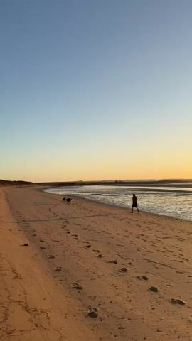 A person and a dog are walking along a sandy beach at sunset. The sun is low on the horizon, casting a warm glow across the sky and the water. The beach is mostly empty, with only a few footprints visible in the sand. The dog is a dark color and is walking a few paces ahead of the person. The person is wearing dark clothing and is walking towards the right side of the frame. The water is shallow and calm, with a few ripples on the surface. The sky is a clear blue, transitioning to orange and yellow at the horizon.