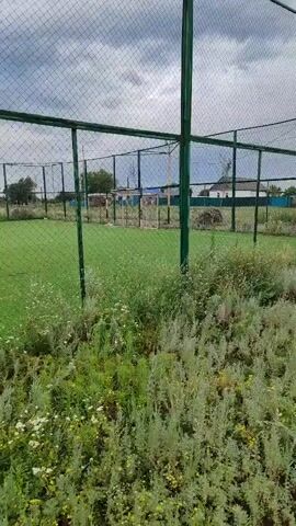 The video pans across a fenced sports field with green artificial turf. The fence is made of metal poles and netting. In the foreground, there is overgrown vegetation, including tall, wispy plants and some smaller white flowers. In the background, there are buildings and trees. The sky is overcast.
