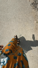 Woman documents sunny morning walk through Pleven parks