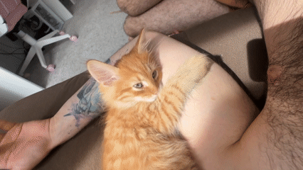 Person relaxes with sleepy orange kitten in Khimki