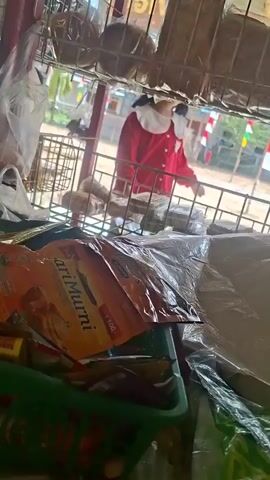 The video shows the interior of a small store, possibly a convenience store or market. In the foreground, there are various items displayed, including packaged food products, some in plastic wrapping, and a green basket containing vegetables like eggplants and carrots. A blue plastic bottle of water is also visible. In the middle ground, a young child, wearing a white t-shirt with a graphic of birds, stands and raises their right arm. Shelving units are visible in the background, stocked with more packaged goods and products. Through an open doorway or window in the background, an outdoor scene is partially visible, with buildings and flags, suggesting a daytime setting. The lighting appears natural, indicating it's likely daytime. The overall impression is of a casual, everyday scene in a local store.