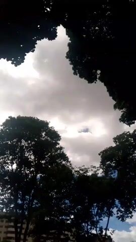 The video shows an upward view of a cloudy sky framed by the silhouettes of trees. In the background, buildings are visible. The camera appears to be moving slightly, creating a subtle sway in the image.