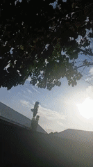 Morning scenes captured across residential Jalingo, Nigeria