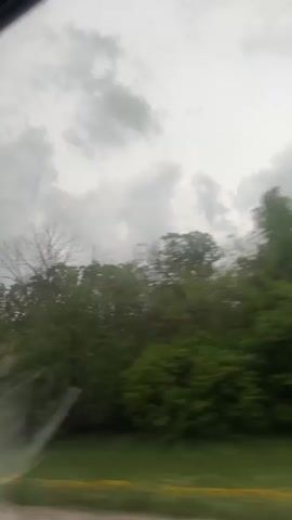 The video shows a view from inside a car, looking out at a roadside scene with trees and a cloudy sky. The trees are mostly green, with some bare branches visible. The sky is overcast with grey clouds. The car appears to be moving, as the scenery is passing by. There is a partial view of the car's windshield in the foreground.