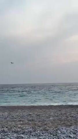 The video depicts a tranquil scene at a rocky beach. A seagull is flying over the ocean, initially against a cloudy sky. The sun appears, shining brightly, and the seagull flies directly toward it. The camera follows the bird as it continues its flight toward a distant, hilly island. The sunset illuminates the sky in soft colors, creating a picturesque view. In the final seconds, someone is heard making a cooing sound.