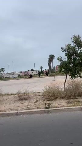 The video presents a roadside scene on an overcast day, lined with palm trees and sparse vegetation. In the middle distance, several people are observed walking or gathering near buildings across the street. Cars pass by occasionally. A woman is seen standing near a palm tree in the foreground. Paper is visible on the ground. The overall impression is one of a quiet, slightly run-down urban or suburban environment.
