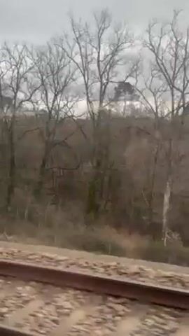 The video shows the view from a moving train, looking out the window at the passing landscape. The foreground contains the train tracks. Beyond the tracks, there's a grassy field and some shrubbery, with bare trees in the background. The sky is overcast. The camera moves quickly, following the train's motion. At one point, a tall metal utility tower appears in the distance.