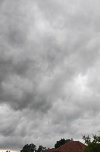 Overcast day brings rural scenes, wildlife activity in Izgrev