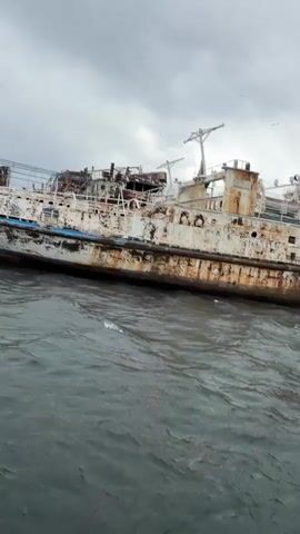 The video shows a boat ride on a gray, cloudy day. The camera appears to be mounted on the boat, giving a passenger's point-of-view. The boat passes by a large, derelict ship rusting in the water. The ship is white with extensive rust and visible damage to its structure. As the boat moves, the camera shifts to show the opposite shore, revealing a green, mountainous coastline. The boat then turns back toward the rusting ship, offering another view as it passes. The water is dark and choppy.