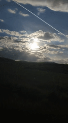 Contrails and dog captured in Bankya countryside scenes