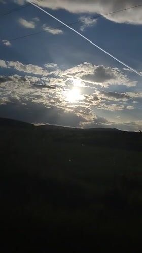 Contrails and dog captured in Bankya countryside scenes