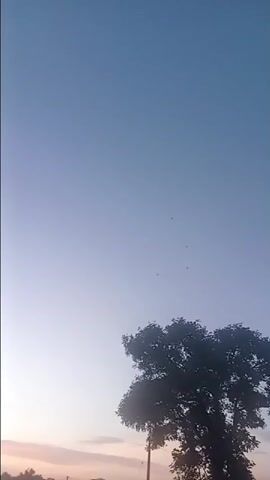 The video shows a wide shot of a sky at dusk. The sky transitions from a deep blue at the top to a lighter blue and then to a pale yellow and pink hue near the horizon. There is a silhouetted tree on the right side of the frame, its branches reaching upwards. In the distance, the horizon is lined with silhouetted trees and possibly some buildings. There are a few small, dark specks in the sky, which could be birds or insects. The camera appears to be either stationary or panning very slowly upwards. The overall impression is one of a calm, natural scene at the end of the day.