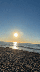 Dog spotted on Spanish beach during early morning hours