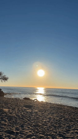 Dog spotted on Spanish beach during early morning hours