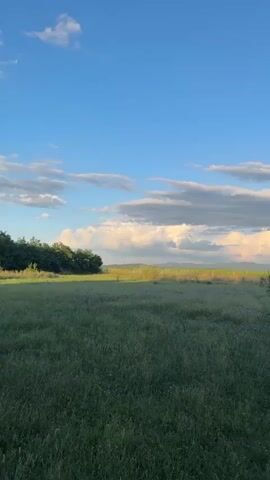 The video shows a vertical panorama of a grassy field under a partly cloudy blue sky. The field is predominantly green, with some patches of what appear to be wildflowers, giving it a slightly varied texture. In the distance, there are trees on the left, and further back, rolling hills or mountains are visible, partially obscured by clouds and mist. A rustic fence line runs through the middle ground of the scene, with some wooden posts and wire. There are a few small trees and bushes scattered throughout the field and along the fence line. The lighting suggests it is either sunrise or sunset, with soft light illuminating the clouds and the landscape. No people or animals are visible.