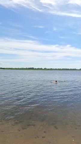 This media file depicts a person swimming in a body of water. The scene is set outdoors, with a clear blue sky dotted with wispy white clouds. The water appears calm with a sandy bottom visible near the shore. In the background, a line of green trees stretches across the horizon, suggesting a natural landscape. The time of day appears to be daytime, likely late morning or afternoon, given the bright sunlight. The overall mood is serene and leisurely, implying a relaxing activity on a pleasant day. There is no visible text in the media file. The location context provided is Vyazovka, Russia.