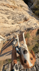 Person and dog observed on cliff overlooking ocean in Montenegro