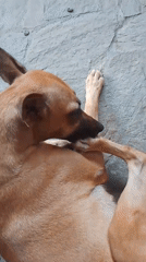 Casual moments captured during afternoon in Pampatar, Venezuela