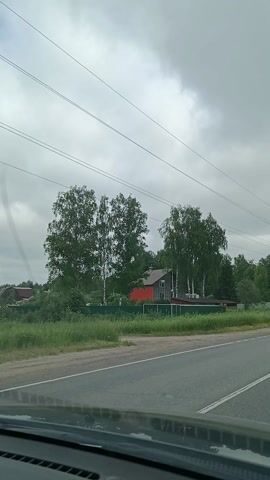This is a landscape video shot from a moving vehicle, likely a car, as indicated by the partial view of a car interior on the right side of the frame. The camera is tilted vertically, showing a road and its surroundings. The scene depicts a rural setting in Тополиный, Russia.

The primary subjects are a road, trees, a building, and the sky. The road appears to be paved with some wear and tear, with a white line marking its edge. To the left of the road, there is a grassy area with a green fence and a small red and brown building peeking through lush green trees. Power lines are visible stretching across the sky. In the distance, more trees form a dense forest.

The activity is the vehicle's movement along the road, suggesting a journey or travel. The time of day is not clearly discernible, but the overcast sky indicates it is likely daytime. The weather appears to be cloudy, contributing to a somewhat muted light.

Notable details include the specific appearance of the trees, which seem to be birch trees, characterized by their white bark. The presence of power lines is a common feature in rural and suburban areas. The red color of the small building stands out against the green foliage.

There is no visible text in the video. The overall emotion conveyed is one of quiet travel through a natural, perhaps slightly unkempt, rural landscape.