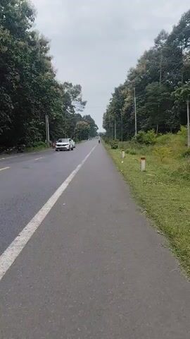 The video shows a view from a person walking or cycling on a paved path next to a road. The path is on the right side of the road and is bordered by a grassy area with some small white posts and scattered litter. On the left side of the road, there is a lane of traffic with two white cars visible, followed by a brightly colored bus. The road is lined on both sides by trees, forming a canopy overhead. The sky is overcast. In the distance, a person can be seen on a bicycle or motorcycle on the road. The video appears to be a continuous shot, with no significant changes in the scene.