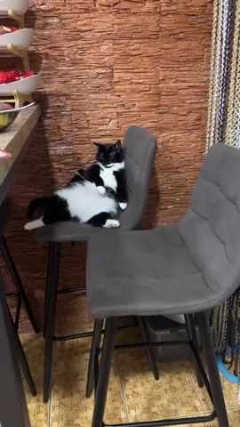 A black and white cat is resting on a gray chair. The cat is in a relaxed pose, with its legs spread out and its belly exposed. The cat has its eyes closed and appears to be sleeping or dozing. The background is a textured brown wall, possibly brick or stone. To the left, a portion of a countertop and shelves can be seen. To the right, a beaded curtain or tapestry hangs vertically. The setting appears to be indoors, likely a home or dining area, given the presence of chairs and a countertop. The lighting suggests it could be daytime, but it's not definitively clear. The overall mood is one of calm and leisure.