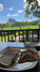 Tourist captures dawn view of Sigiriya Rock from balcony