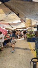 Afternoon shopping activity at busy Fethiye Turkey produce market
