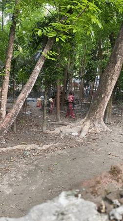 Rural Bangladesh morning: girl portraits, tropical trees captured