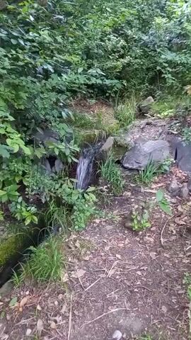The video begins with a shot of a small waterfall flowing over rocks into a channel. The surrounding area is densely vegetated with trees and bushes. The camera then pans to the right, showing a paved path winding through the woods. The path is lined with greenery on both sides, and sunlight filters through the leaves of the trees, creating dappled lighting. The video continues to follow the path as it curves through the forest.
