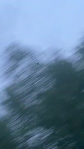 The video shows an airplane in flight, set against a cloudy, overcast sky. The camera appears to be pointing upwards from ground level, with the tops of trees visible in the foreground. The plane is a small, light-colored aircraft. The overall lighting is subdued due to the cloudy conditions. The camera appears to be in motion, causing some blurring.